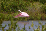 IMG_1286.JPG