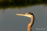 IMG_1404.JPG