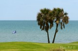 IMG_1452.jpg