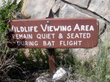 DSC00767.JPG