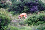 IMG_2414.JPG