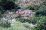 IMG_2430.JPG