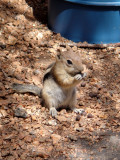 DSC01039.JPG