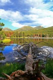 IMG_2895.JPG