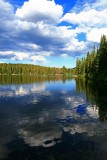 IMG_2916.jpg