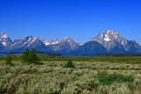 IMG_3040.jpg