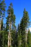 IMG_3052.JPG