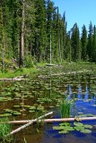 IMG_3069.jpg
