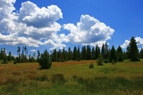 IMG_3140.jpg
