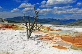 IMG_3555.jpg