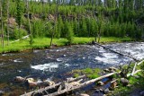 IMG_3565.jpg