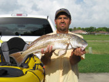 IMG_2409.JPG