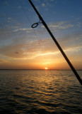 DSCF0520.jpg