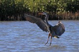 IMG_1084