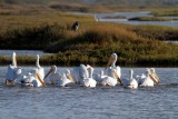 IMG_1480