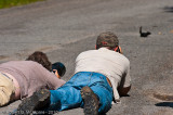 Two Pbase photographers (mtcummings and wade clare) photographing the black Chipmunk.