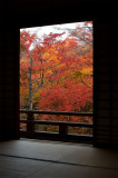 Hokyo-in Temple