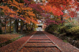 Bishamon-Dou Temple