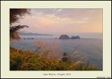 Cape Meares