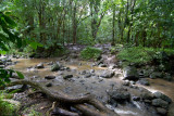 c4189 Trail crosses the stream