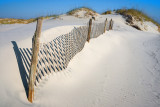 Dune and Fence II