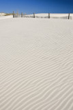 Dunes and Fence III