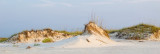 Dunes of Little Talbot Island III