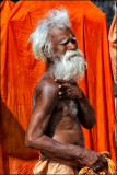 Portrait of the White Sadhu