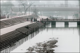 Ganga in the mist