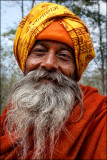 Guru