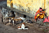 The homeless and his table-companions