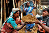 Women construction workers