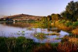 Thiruparangkundram lake