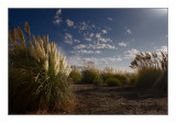 Languedoc-Roussillon / France ...