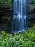 Virgin Falls and Wildflowers