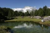 monalpourri.jpg