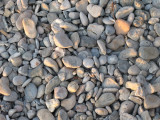 IMG_1672_resize.JPG