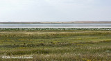 GP0285-Reed Lake.jpg