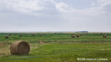 GP0898-Manitoba.jpg