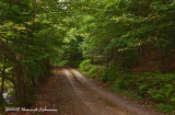 GP5191-Cape Breton Island.jpg