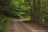 GP5193-Cape Breton Island.jpg