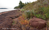 GP7968-Fox River Cottages.jpg