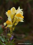 GP8072.jpg
