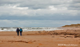 GP0044-Greenwich PEI National Park.jpg