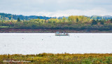 GP0177-Greenwich PEI National Park.jpg