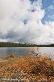 GP5102-Ontario.jpg
