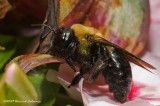 K206569-Unidentified.jpg