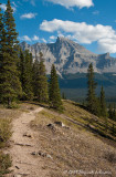K215886-Icefields Parkway.jpg