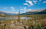 K215903-Icefields Parkway.jpg
