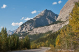K215919-Icefields Parkway.jpg